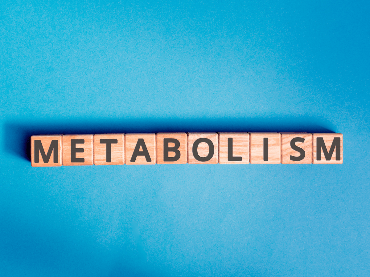 Unveiling the Science of Metabolism: Decoding the&nbsp;Factors